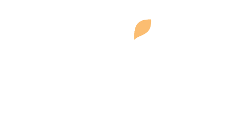 wix